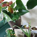 스피드카센타 이미지