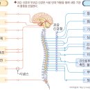 메타의원 네이버블로그