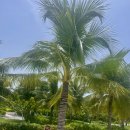 ㈜레저스테이션리조트 | 2025 최신 알마 리조트 후기｜가족여행·부모님 모시고 다녀온 실제 비용·팁 총정리