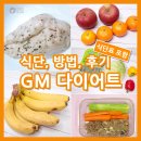 든든했던 gm 다이어트 식단 후기 &amp; 대체식품 정리
