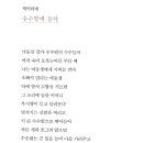 양민주 이미지