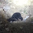 장서농장 이미지