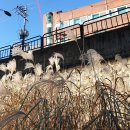 방아다리경로당 이미지