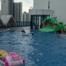 풀스포츠 | 동탄 인피니티풀 케이알스포츠센터 야외수영장 솔직후기