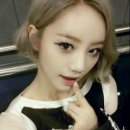 손금숙미용실