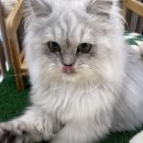 나의 첫 글+ 이야기의 시작 이미지