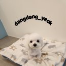 송내동1 이미지