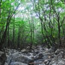 숲속 - 동두천시 중앙로 308 | 숲속