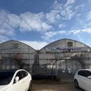 069.둔치주차장_2 | [부산] 강서구맛집 실내애견동반 점심맛집추천 내돈내산후기 "둔치국수"