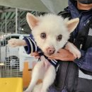 역전지구대 이미지