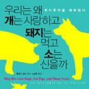 우리소우리돼지