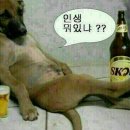 일빠네
