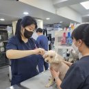 독스동물병원 이미지