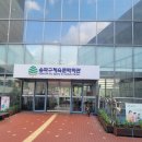 송파체육문화회관 | 송파구 체육문화회관 수영 강습 한 달 후기