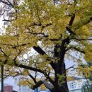 영종KCC스위첸 라이브러리 이미지