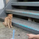 국제모터스 - 중구 흑교로17번길 1 | 국제모터스