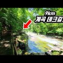 가장 걷고 싶은 길 1위! 국내 최장 '9km' 전나무 숲 계곡 데크길 이미지