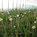 힘차게농장 이미지