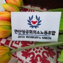 의류제작 | 기관단체 의류와펜 제작후기 옷핀형 명찰와펜으로 깔끔하게 완성