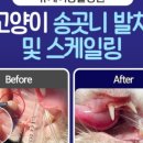 뉴케어동물병원 이미지