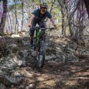 원주산악자전거파크 이미지