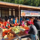 동경주 이미지