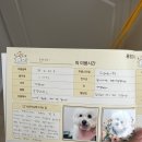 몽멍이들 이미지