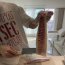 내일비안와요 | 이사 끝!🤍🤍 (신혼집이사/삼각지맛집/신혼집밥/올클래드/ 코지타벨리니/집들이)