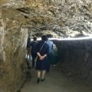 광천독바위토굴새우젓 이미지