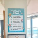 오스테리아씨엘로 이미지