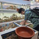 영덕수산시장 이미지