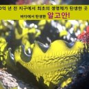 건강한피부샵