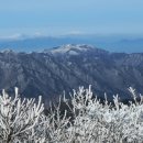 지리산 Daum카페
