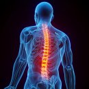 수원고려본정형외과의원 이미지