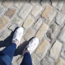 2020 코로나블루 극복하기 | 그냥 하는 얘기, (내) 여행의 역사