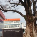 인당쌀상회 이미지