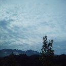 근원목장 이미지