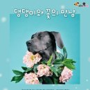 꽃만남 이미지