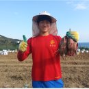 복학농장 이미지