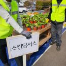 서항근린공원 | [진해 광석골] 시민 나무 나누어주기 후기 | 대기줄 200m, 1인 3그루 무료