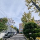 구.영성여중 이미지