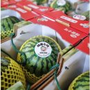 김철환 농장 이미지