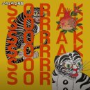 소락소락인제점 이미지