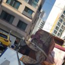 영창주공아파트 101 이미지