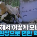 선유초등학교 네이버블로그