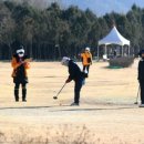 파크골프오후 이미지