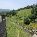 무거본뼈 이미지