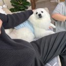 구지동물병원 | 202601-1