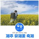 GTQ포토샵1급(자격증) | 자격증 | GTQ 포토샵 1급 합격 후기 🗯️