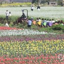 박지호농장 이미지